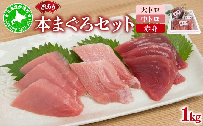 本マグロ（大トロ・中トロ・赤身）訳ありセット 1kg【ogm-025】 1kg