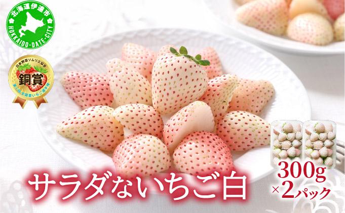 ＜2026年先行予約＞ サラダないちご（白）ご褒美 苺 最旬 贈答 ギフト プレゼント 果物 フルーツ イチゴ 北海道 伊達【ecg-001】 白