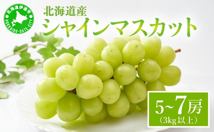 ＜先行予約＞シャインマスカット ５～7房（３kg以上）箱 ５～7房(３kg以上)