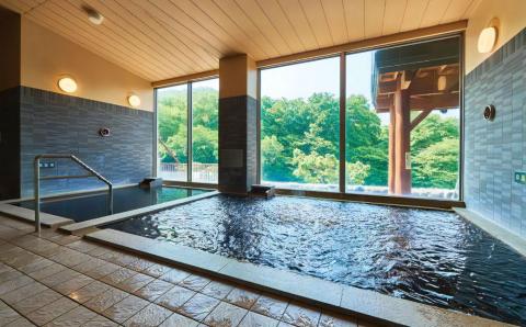 天然温泉 森のゆ 大人 入館券（入浴券×3枚セット〉北海道北広島市 アルカリ性単純温泉 温泉チケット 利用券