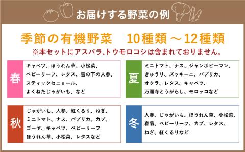 【有機JAS認定】季節の野菜 詰め合わせ 10種類～12種類程度 有機野菜セットA 北海道北広島市