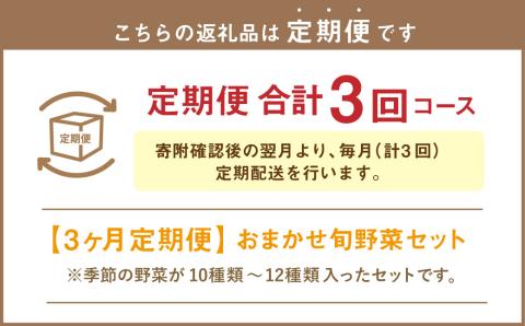 【3ヶ月定期便】おまかせ旬野菜セット 旬 野菜 セット 北海道 北広島市