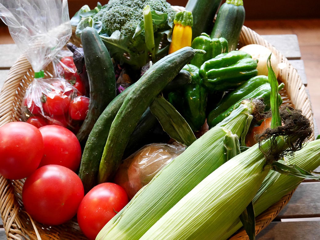 季節の野菜セット 季節 野菜 セット 北海道 北広島市