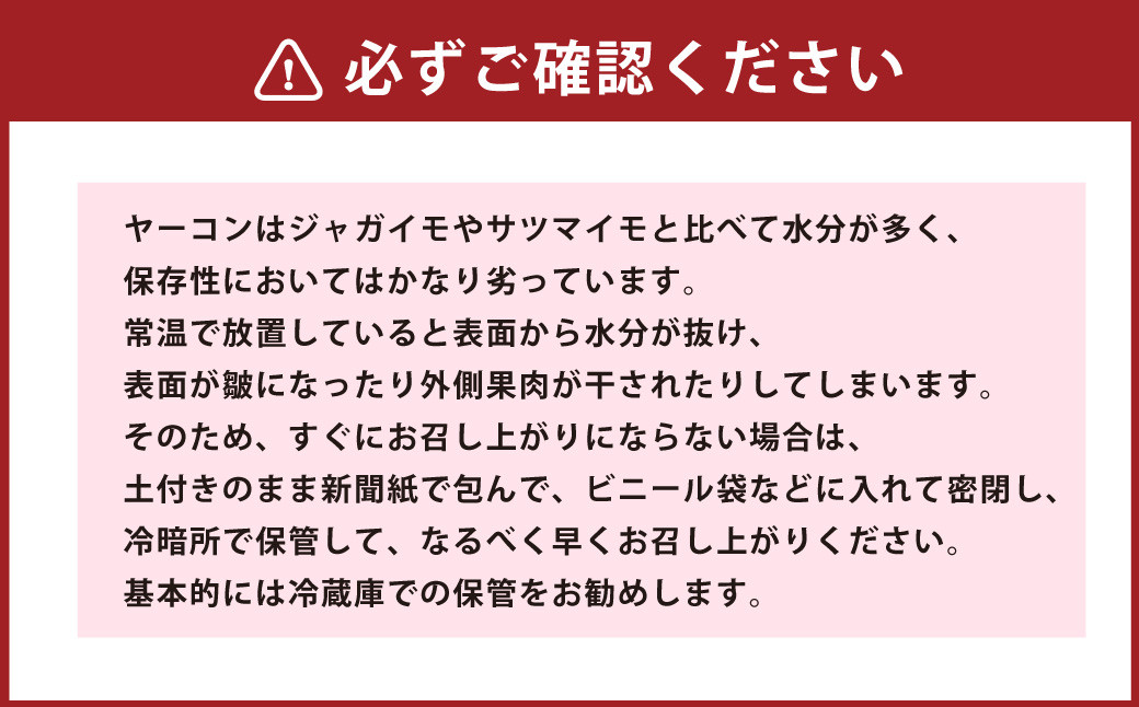 北海道生ヤーコン 6kg