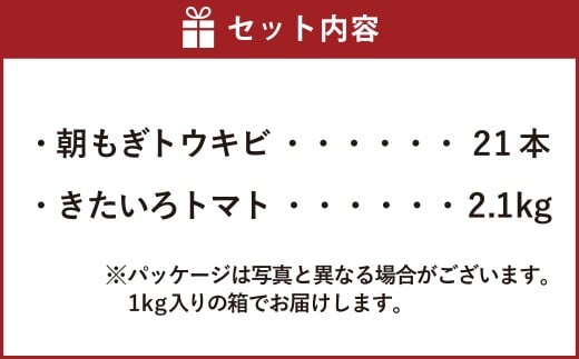 きたいろトマト （2.1kg）と 朝もぎトウキビ （21本）のセット