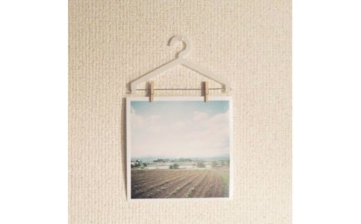 フォトクリップ｢エモンカケ｣ 【透明】