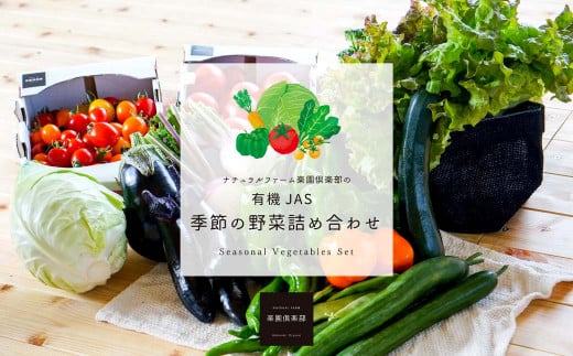【有機JAS認定】【3ヶ月隔月定期便】 季節の野菜詰め合わせ ～有機野菜セットB
