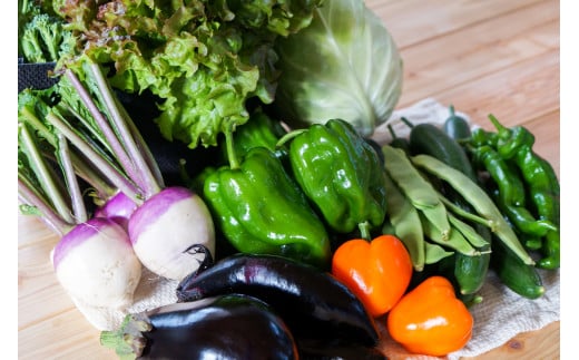 【4ヶ月隔月定期便】 季節の野菜詰め合わせ ～有機野菜セットA