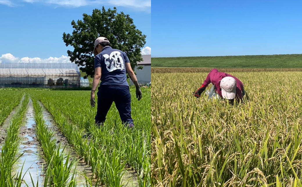 めぐりめぐる 720ml 計1本