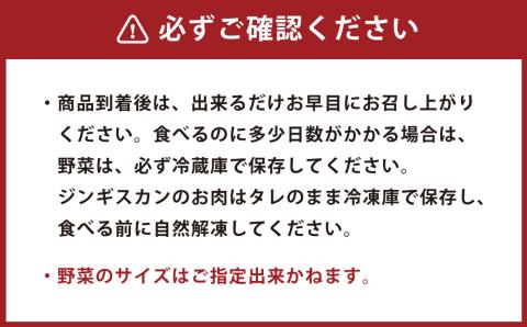 野菜と一緒にお届け！ジンギスカンセット〈4人前程度〉北海道北広島市 ラム肉 羊肉