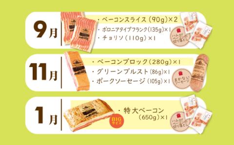 【6ヶ月定期便】【2ヶ月に1回：奇数月】 ベーコンの会(簡易包装） ベーコン 肉 豚 牛 定期 北海道 北広島市