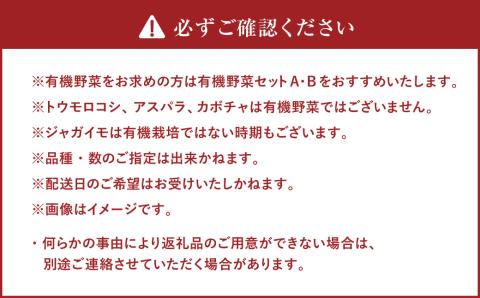 おまかせ旬野菜セット 旬 野菜 セット 北海道 北広島市