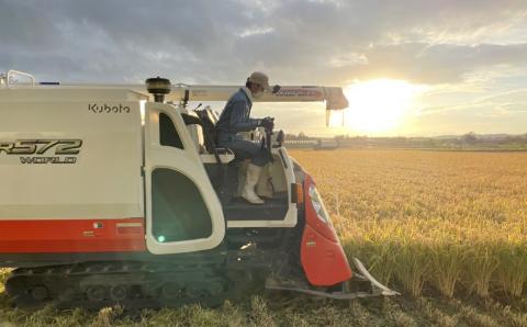 田園交響楽 ゆめぴりか 5kg お米 精米 白米