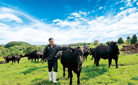 北海道北広島産 ブラックアンガス牛 ハンバーグステーキ 900g （150g×6個）牛肉