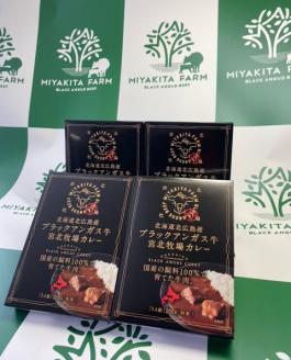 北海道北広島産 ブラックアンガス牛 宮北牧場カレー 800g（200g×4箱）ビーフカレー