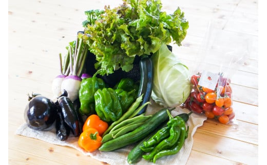 【6ヶ月隔月定期便】 季節の野菜詰め合わせ ～有機野菜セットA