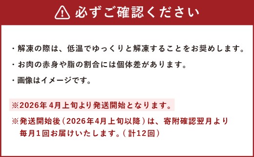 【12回定期便】 すりおろし生姜が自慢のラムジンギスカン （約370g×2パック）