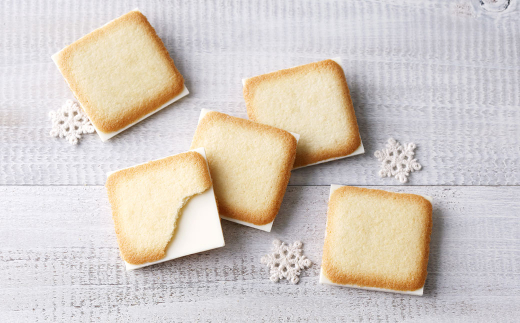 【1ヶ月毎5回定期便】白い恋人 36枚缶入（ホワイト27枚＆ブラック9枚）