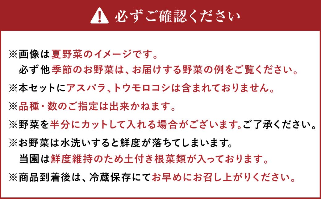 【6ヶ月定期便】有機JAS認定 季節の野菜詰め合わせ ～有機野菜セットC～