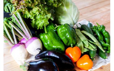 【有機JAS認定】季節の野菜 詰め合わせ 15種類～18種類程度 ～有機野菜セットB～ 北海道北広島市