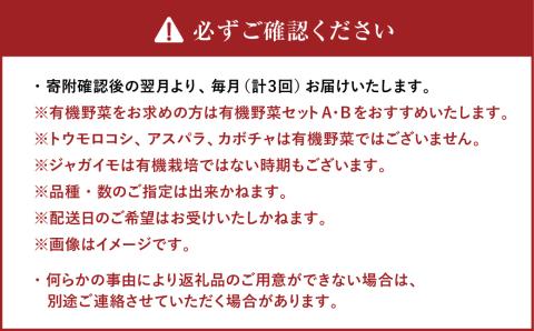 【3ヶ月定期便】おまかせ旬野菜セット 旬 野菜 セット 北海道 北広島市
