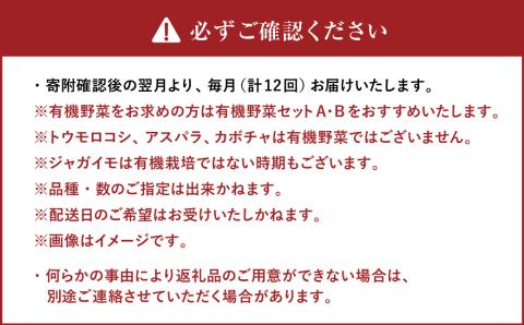 【12ヶ月定期便】 おまかせ旬野菜セット 旬 野菜 セット 北海道 北広島市
