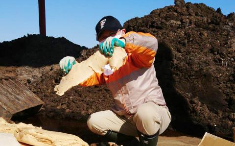 【栽培期間中農薬不使用】ゆめぴりか 10kg ゆたか米 タカシマファーム×銘酒の裕多加 お米 精米 白米