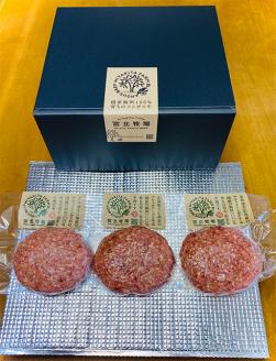 北海道北広島産 ブラックアンガス牛 ハンバーグステーキ 450g（150g×3個）牛肉