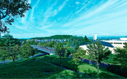 【7月5日（日）開催】「Fビレッジハーフマラソン2026」10kmの部 参加権【お一人様1回】 Fビレッジ ハーフマラソン マラソン スポーツ