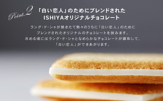 白い恋人 (ホワイト&ブラック) 120枚(24枚入×5箱) ラングドシャ クッキー チョコ お菓子 おやつ 北海道 北広島市