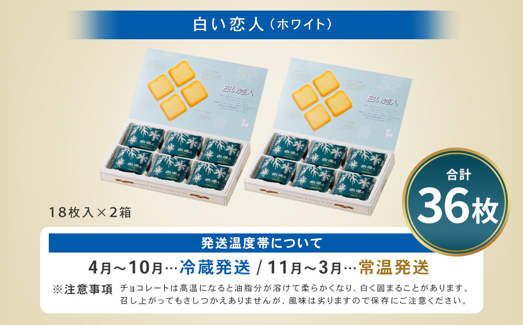 白い恋人 (ホワイト) 36枚(18枚入×2箱) ラングドシャ クッキー チョコ お菓子 おやつ 北海道 北広島市
