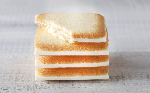 【1ヶ月毎2回定期便】白い恋人 36枚缶入（ホワイト27枚＆ブラック9枚）