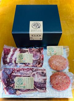 北海道 北広島産 ブラックアンガス牛 焼肉 ミックススライス (250g×2) ハンバーグ (150g×2) 牛肉 モモ肉 バラ肉