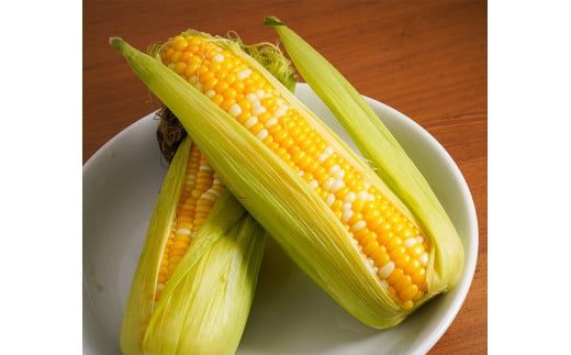 きたいろトマト （1.4kg）と 朝もぎトウキビ （14本）のセット