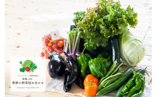 有機JAS認定　季節の野菜詰め合わせ～有機野菜セットA～