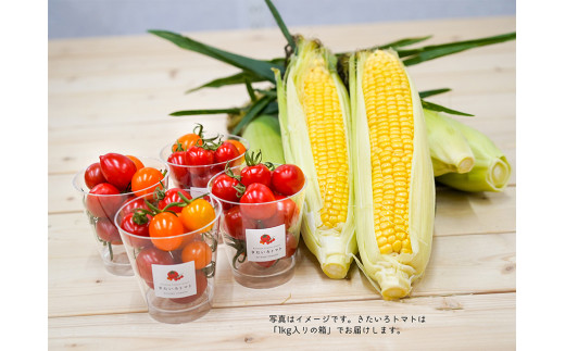 きたいろトマトと朝もぎトウキビのセット