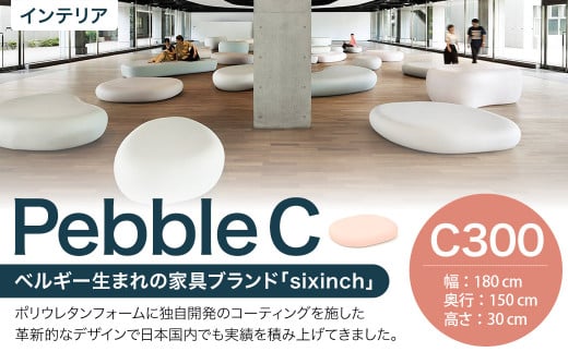 Pebble C （C300）