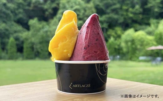 アルトラーチェ カップジェラート 6種セットB