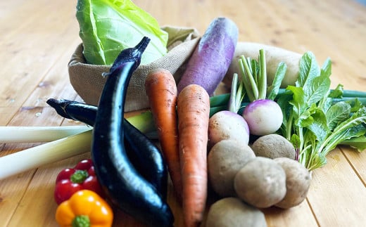 【有機JAS認定】【3ヶ月隔月定期便】季節の野菜詰め合わせ ～有機野菜セットC