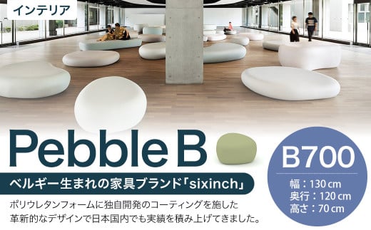 Pebble B （B700）
