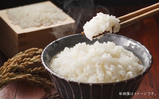 【令和6年産】寒地稲作発祥の地 北広島市産 赤毛米5kg