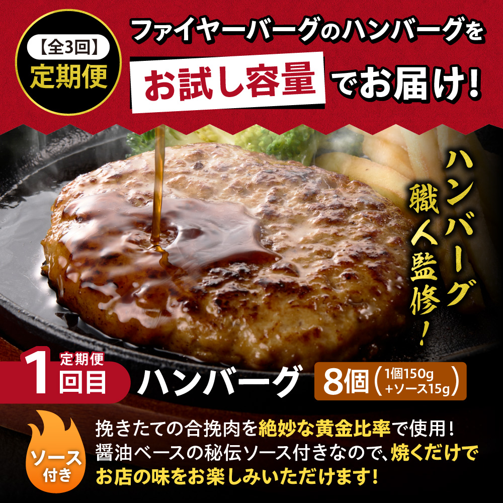 【定期便3回】ファイヤーバーグお試し定期便_is030-023-999