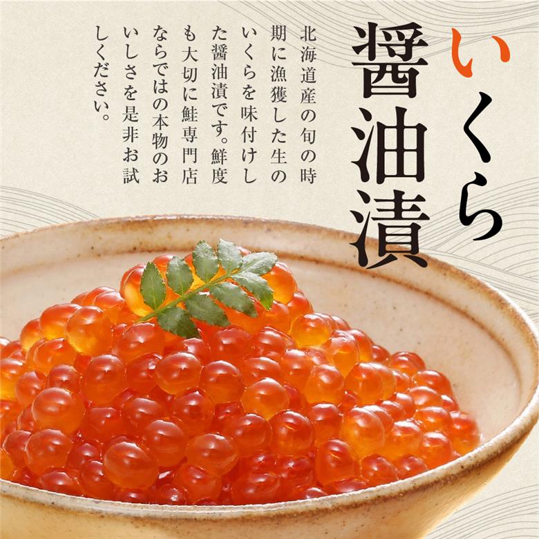 110167002 佐藤水産 いくらと鮭ルイベ漬(SI-160)