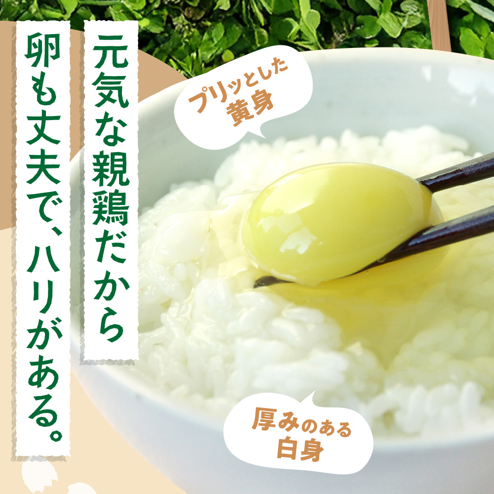 【定期便】飛ぶ鳥農場　海の街たまご　60個×3か月_is085-004-999