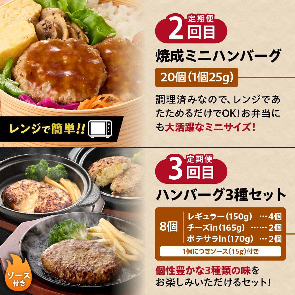 【定期便3回】ファイヤーバーグお試し定期便_is030-023-999