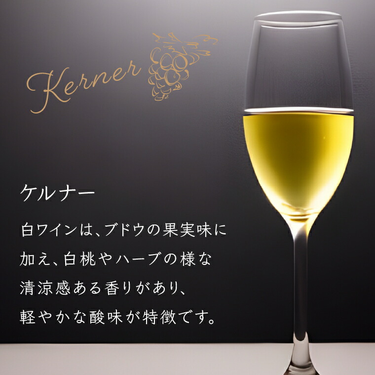 石狩市産ぶどうを醸造したワイン「ISHIKARI」限定ラベル 赤白セット_is025-005-000