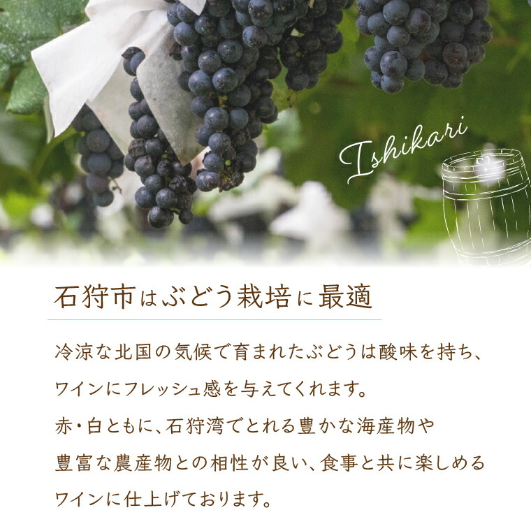 330009001 石狩市産ぶどうで作ったスパークリング 2本セット