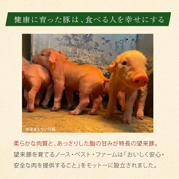 620002002 厚田のぶたまん（130g×8個）