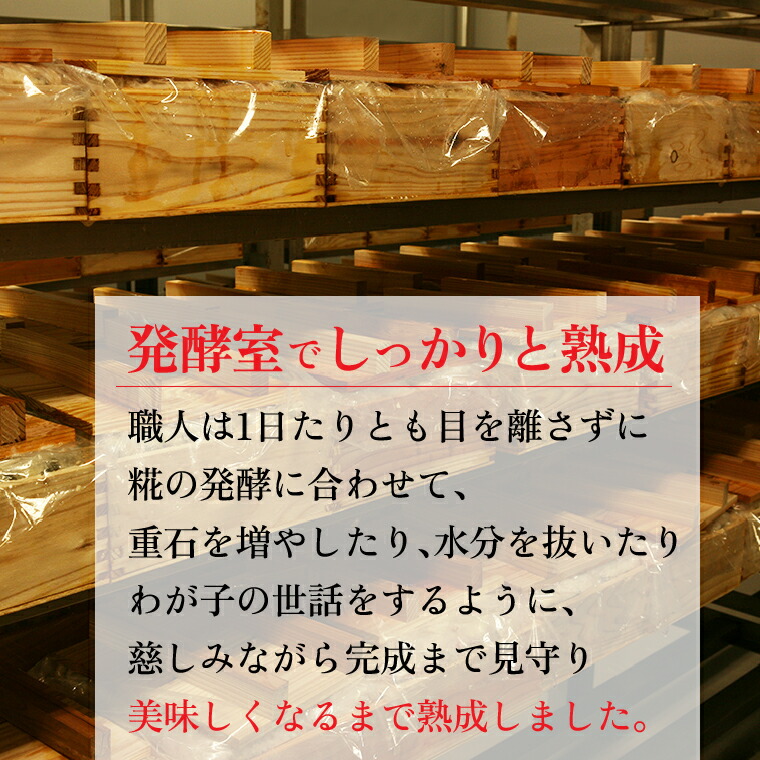 紅鮭飯寿司 900g｜佐藤水産 鮭 北海道 石狩市_is001-153-000