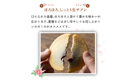 700009001 はまなす街道[ミルクチョコレート12枚・ホワイトチ